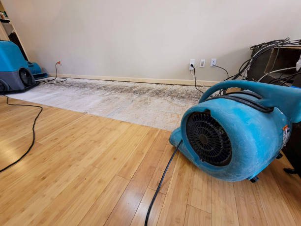 Professional Water Extraction technician working in Cookstown, NJ